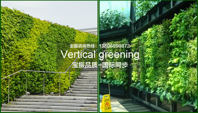 建造资金少可以采用仿真垂直绿化植物墙方式